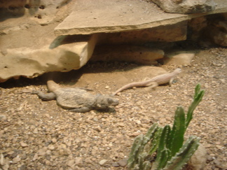 2006-04-08 13-27-56.JPG
